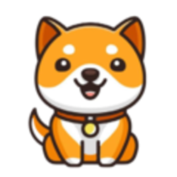 SOL Baby Doge